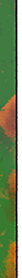 Sub Right Strip